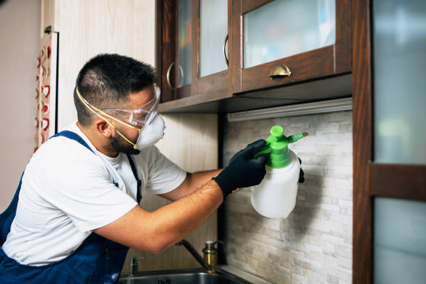 Best Affordable Pest Control Services  in Harper Woods, MI