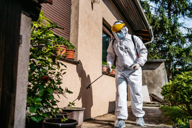 Best Pest Prevention Services  in Harper Woods, MI