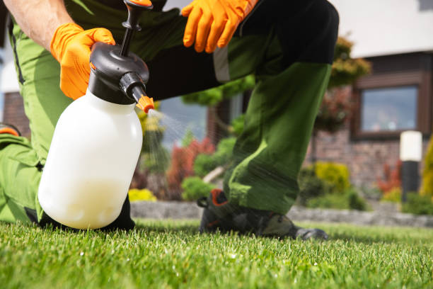 Best Pest Control Near Me  in Harper Woods, MI