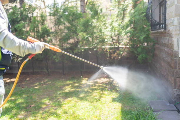 Best Spider Control Near Me  in Harper Woods, MI