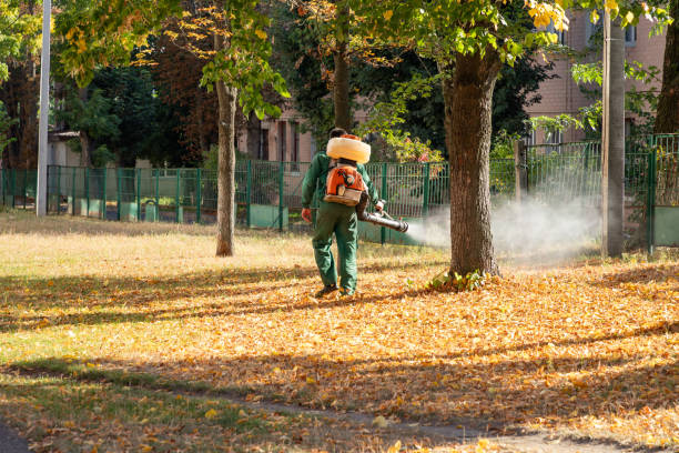 Best Bird Control  in Harper Woods, MI