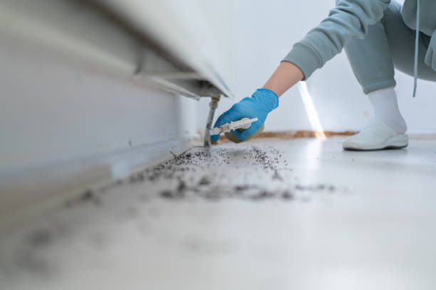 Best Emergency Pest Control  in Harper Woods, MI
