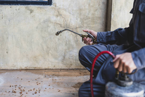 Best Local Pest Control Services  in Harper Woods, MI